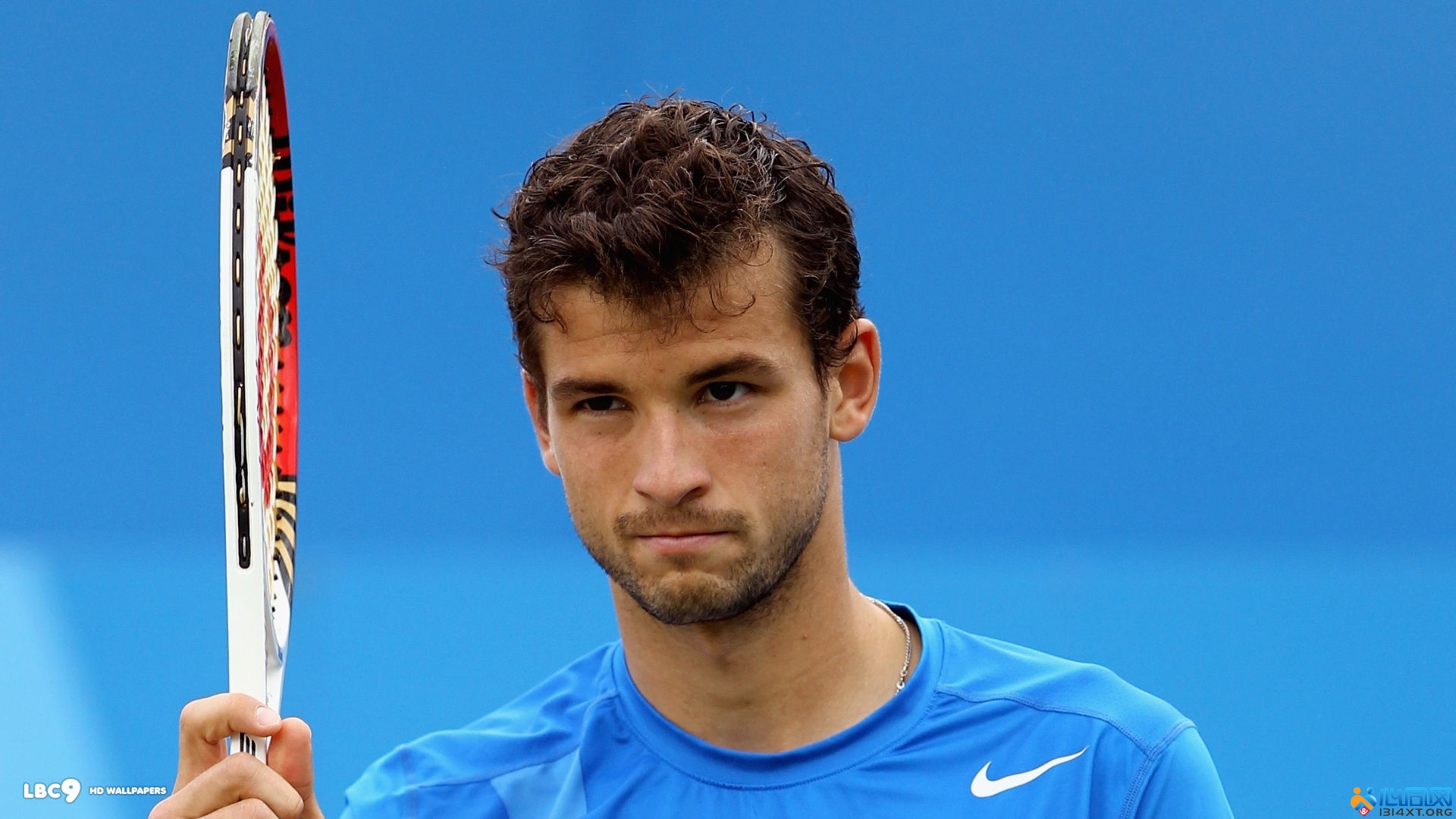 乏类似情形 乏类似情形